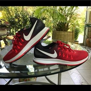 Nike Zoom Pegasus 33.